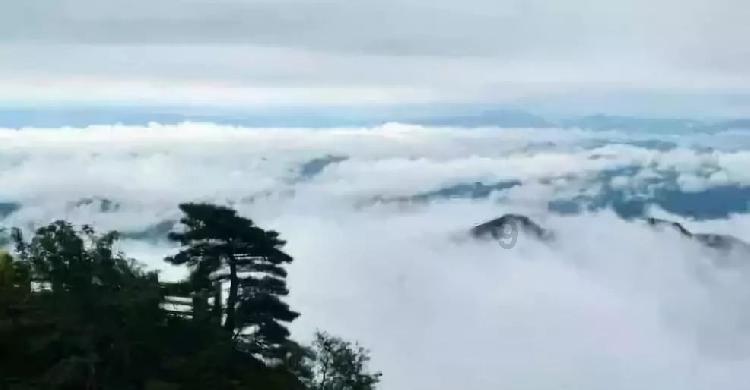 救援美丽小天使